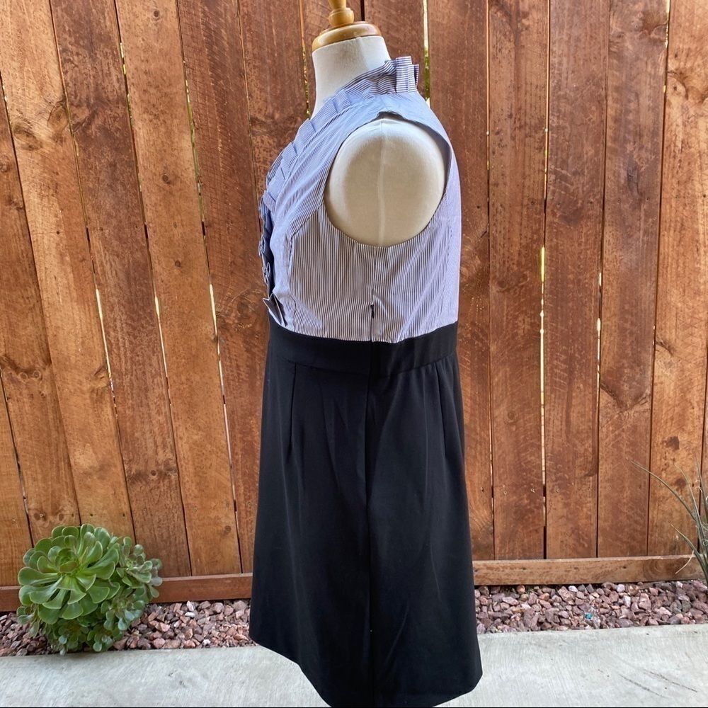 New York & Company Dress - Picture 3 of 12